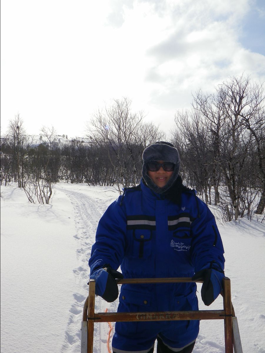 Dogs sledge55